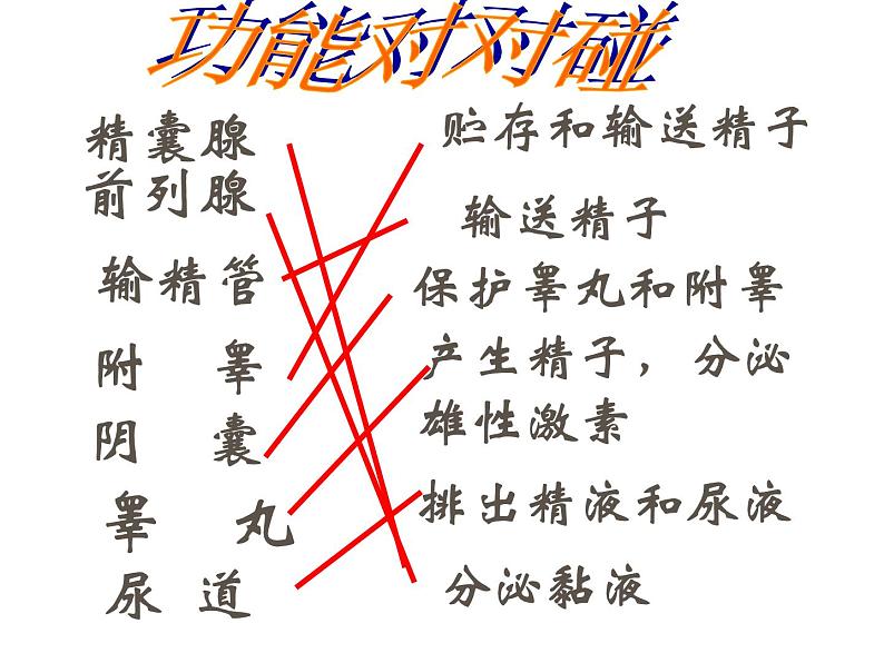 4.3++人类的生殖和发育++单元整体复习课件-2023-2024学年济南版生物八年级上册06