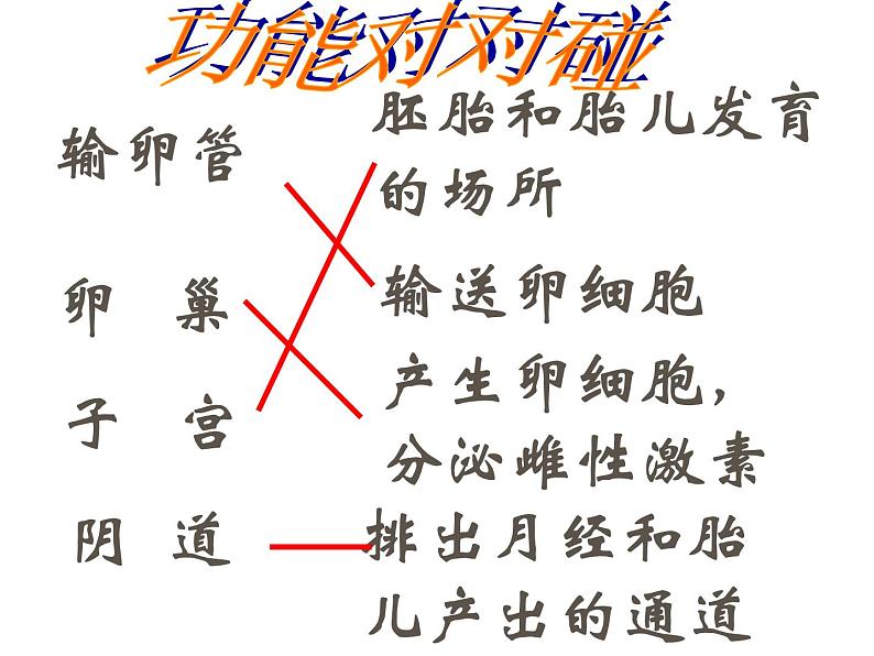 4.3++人类的生殖和发育++单元整体复习课件-2023-2024学年济南版生物八年级上册07