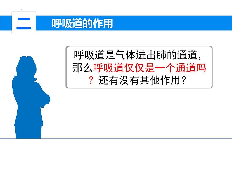 4.3.1呼吸道对空气的处理课件2023--2024学年人教版生物七年级下册第6页