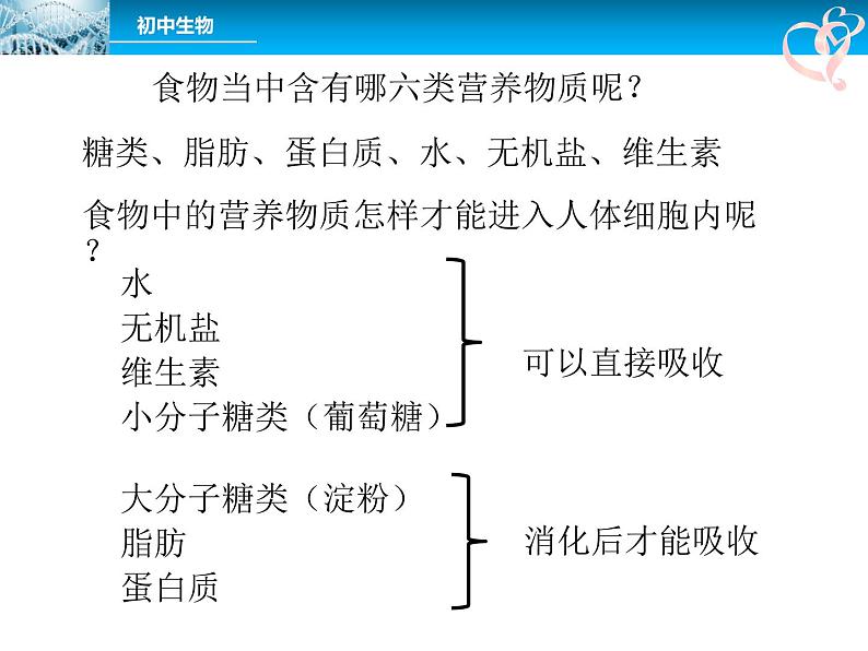 4.2.2消化和吸收课件2023--2024学年人教版生物七年级下册第4页