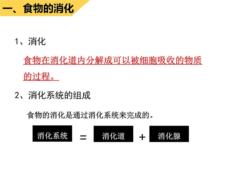 4.2.2消化和吸收课件2023--2024学年人教版生物七年级下册第5页