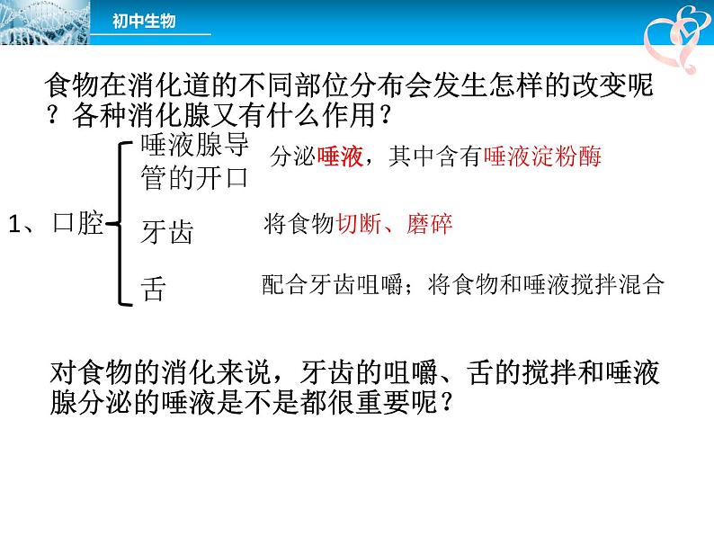 4.2.2消化和吸收课件2023--2024学年人教版生物七年级下册第8页