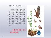 1.2.2++生物与环境组成生态系统++课件-2023-2024学年人教版生物七年级上册