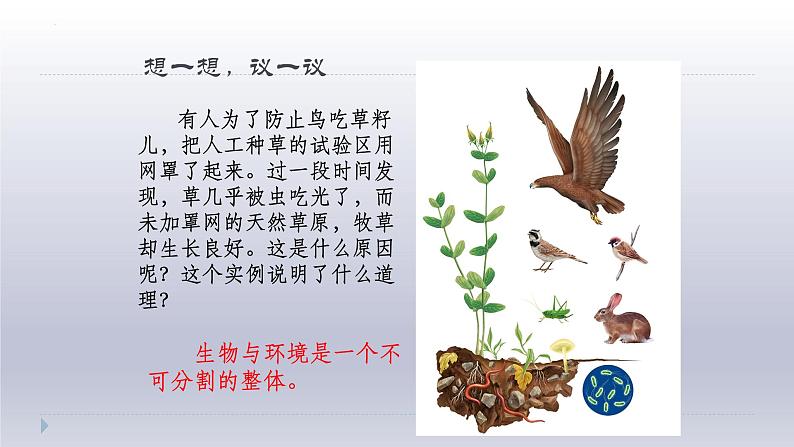 1.2.2++生物与环境组成生态系统++课件-2023-2024学年人教版生物七年级上册第2页