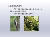 1.2.2++生物与环境组成生态系统++课件-2023-2024学年人教版生物七年级上册