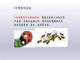 1.2.2++生物与环境组成生态系统++课件-2023-2024学年人教版生物七年级上册