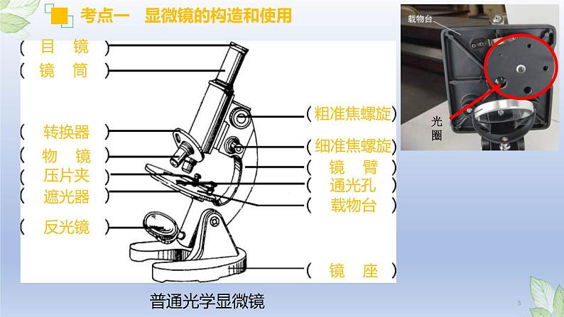 （通用版）中考生物一轮复习精讲课件专题02 细胞是生命活动的基本单位（含答案）第3页