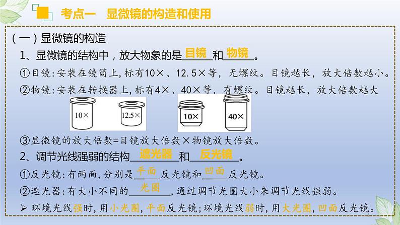 （通用版）中考生物一轮复习精讲课件专题02 细胞是生命活动的基本单位（含答案）第4页