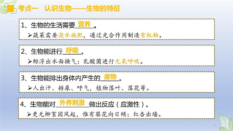 （通用版）中考生物一轮复习精讲课件专题01 生物和生物圈（含答案）03