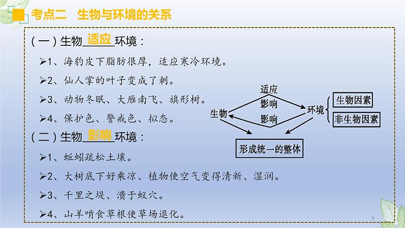 （通用版）中考生物一轮复习精讲课件专题01 生物和生物圈（含答案）08