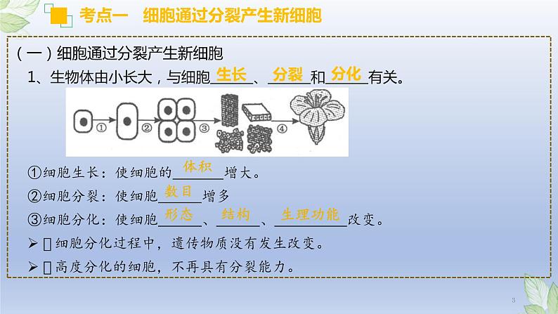 （通用版）中考生物一轮复习精讲课件专题03 细胞怎样构成生物体（含答案）第3页