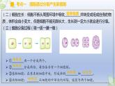 （通用版）中考生物一轮复习精讲课件专题03 细胞怎样构成生物体（含答案）