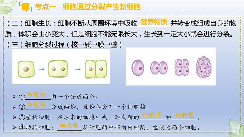 （通用版）中考生物一轮复习精讲课件专题03 细胞怎样构成生物体（含答案）第4页
