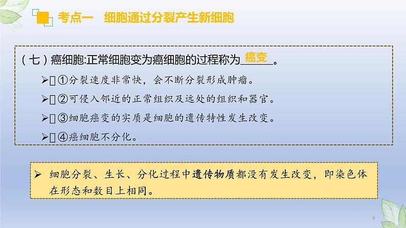 （通用版）中考生物一轮复习精讲课件专题03 细胞怎样构成生物体（含答案）第6页