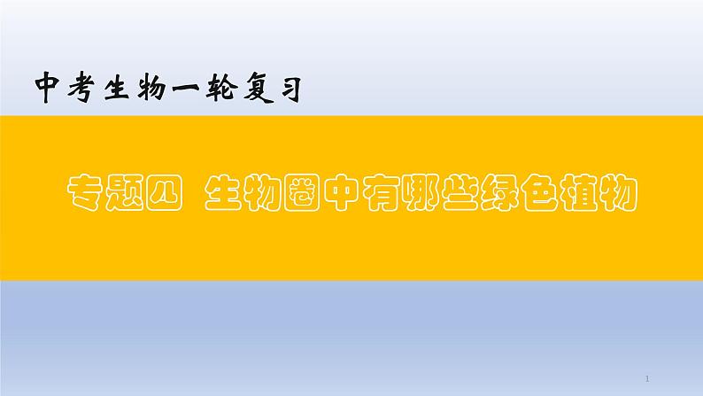 （通用版）中考生物一轮复习精讲课件专题04 生物圈中有哪些绿色植物（含答案）01