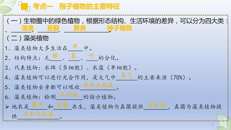 （通用版）中考生物一轮复习精讲课件专题04 生物圈中有哪些绿色植物（含答案）03