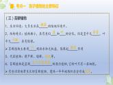 （通用版）中考生物一轮复习精讲课件专题04 生物圈中有哪些绿色植物（含答案）