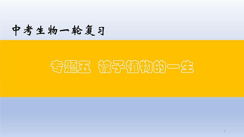 （通用版）中考生物一轮复习精讲课件专题05 被子植物的一生（含答案）01