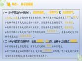 （通用版）中考生物一轮复习精讲课件专题05 被子植物的一生（含答案）