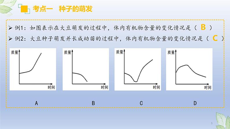 （通用版）中考生物一轮复习精讲课件专题05 被子植物的一生（含答案）05