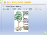 （通用版）中考生物一轮复习精讲课件专题06 绿色植物与生物圈的水循环（含答案）
