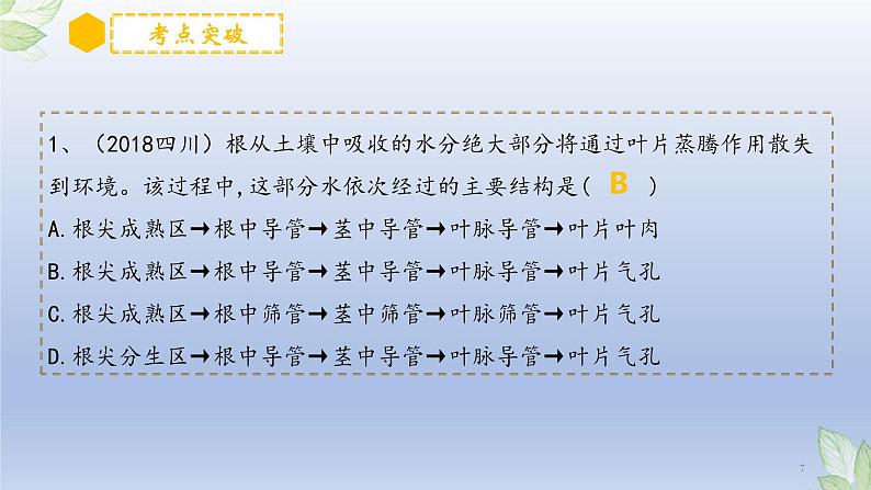 （通用版）中考生物一轮复习精讲课件专题06 绿色植物与生物圈的水循环（含答案）第7页