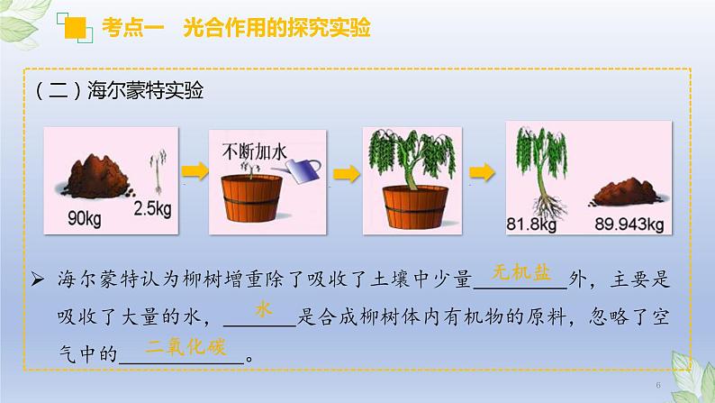 （通用版）中考生物一轮复习精讲课件专题07 绿色植物的光合作用（含答案）第6页