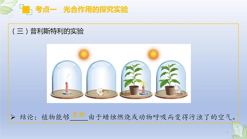 （通用版）中考生物一轮复习精讲课件专题07 绿色植物的光合作用（含答案）第7页