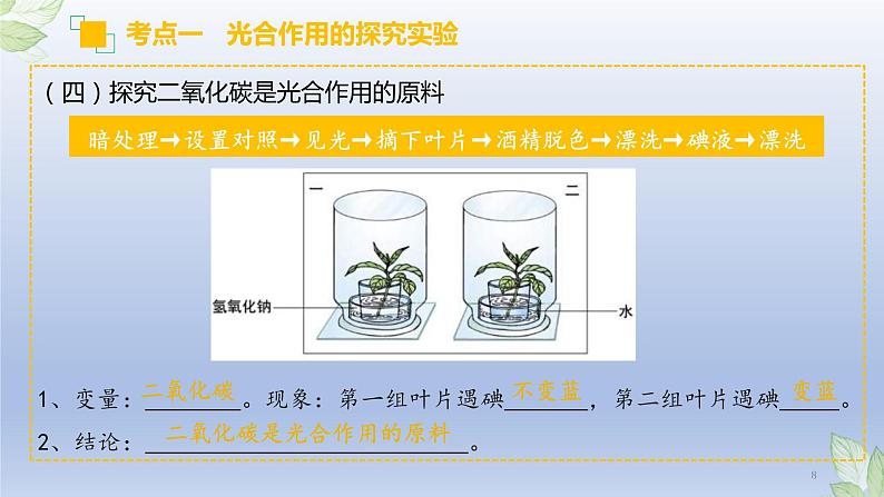 （通用版）中考生物一轮复习精讲课件专题07 绿色植物的光合作用（含答案）第8页