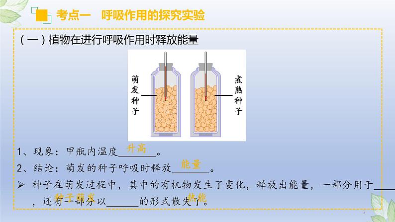 （通用版）中考生物一轮复习精讲课件专题08 绿色植物的呼吸作用（含答案）第3页