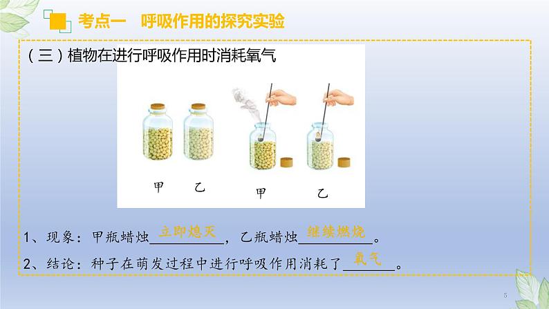 （通用版）中考生物一轮复习精讲课件专题08 绿色植物的呼吸作用（含答案）第5页