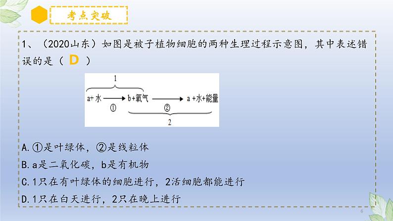 （通用版）中考生物一轮复习精讲课件专题08 绿色植物的呼吸作用（含答案）第6页