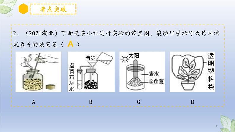 （通用版）中考生物一轮复习精讲课件专题08 绿色植物的呼吸作用（含答案）第7页