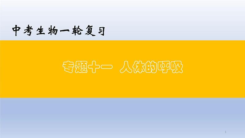 （通用版）中考生物一轮复习精讲课件专题11 人体的呼吸（含答案）01