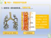 （通用版）中考生物一轮复习精讲课件专题11 人体的呼吸（含答案）