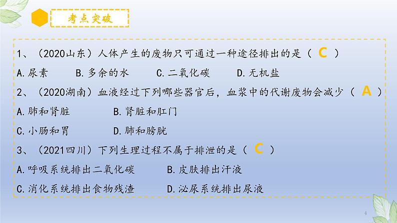 （通用版）中考生物一轮复习精讲课件专题13 人体内废物的排出（含答案）第4页