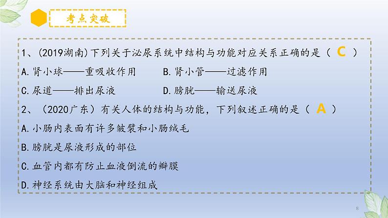 （通用版）中考生物一轮复习精讲课件专题13 人体内废物的排出（含答案）第8页