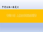 （通用版）中考生物一轮复习精讲课件专题14 人体生命活动的调节（含答案）