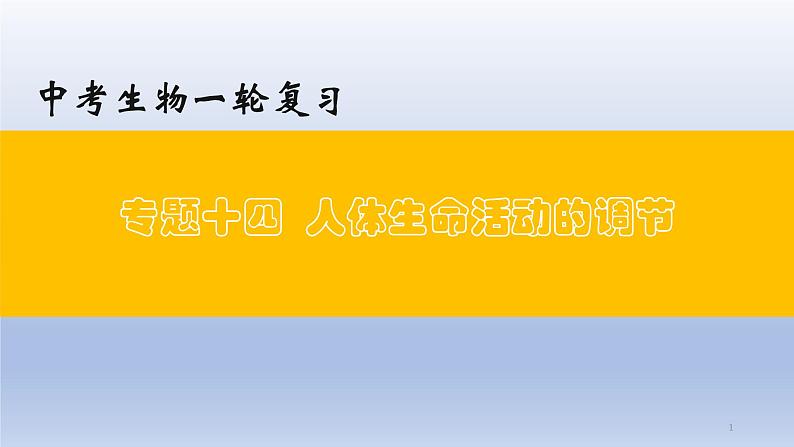 （通用版）中考生物一轮复习精讲课件专题14 人体生命活动的调节（含答案）01