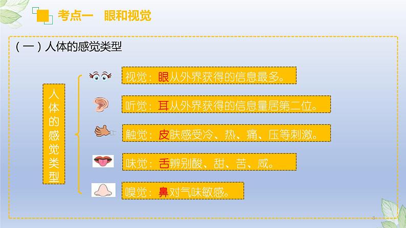 （通用版）中考生物一轮复习精讲课件专题14 人体生命活动的调节（含答案）03