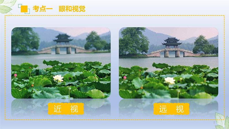 （通用版）中考生物一轮复习精讲课件专题14 人体生命活动的调节（含答案）07