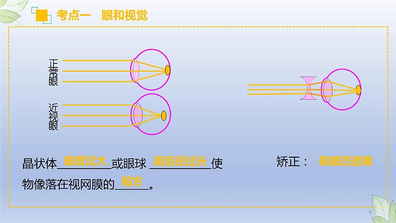 （通用版）中考生物一轮复习精讲课件专题14 人体生命活动的调节（含答案）08