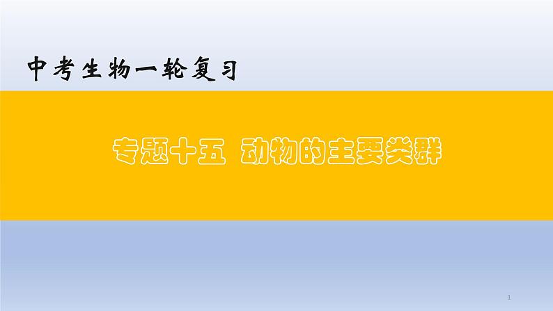 （通用版）中考生物一轮复习精讲课件专题15 动物的主要类群（含答案）第1页