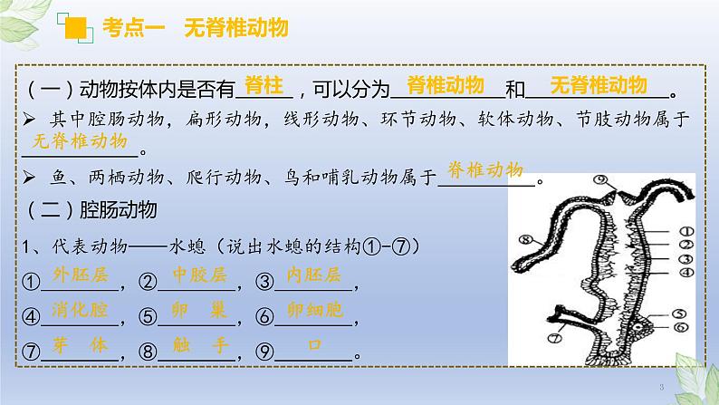 （通用版）中考生物一轮复习精讲课件专题15 动物的主要类群（含答案）第3页