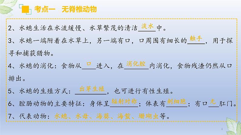 （通用版）中考生物一轮复习精讲课件专题15 动物的主要类群（含答案）第4页