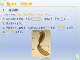 （通用版）中考生物一轮复习精讲课件专题15 动物的主要类群（含答案）