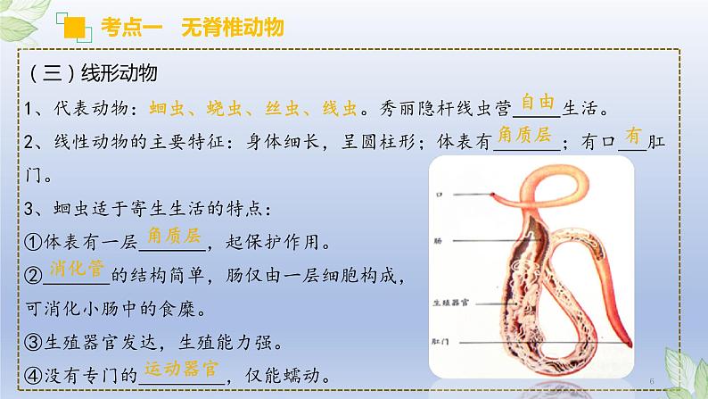 （通用版）中考生物一轮复习精讲课件专题15 动物的主要类群（含答案）第6页