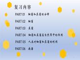 （通用版）中考生物一轮复习精讲课件专题17 细菌、真菌和病毒（含答案）