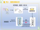 （通用版）中考生物一轮复习精讲课件专题17 细菌、真菌和病毒（含答案）