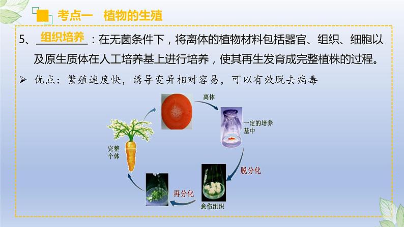 （通用版）中考生物一轮复习精讲课件专题19 生物的生殖和发育（含答案）第8页